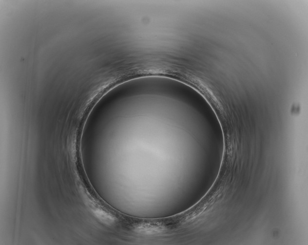 X0000094370386200711091543