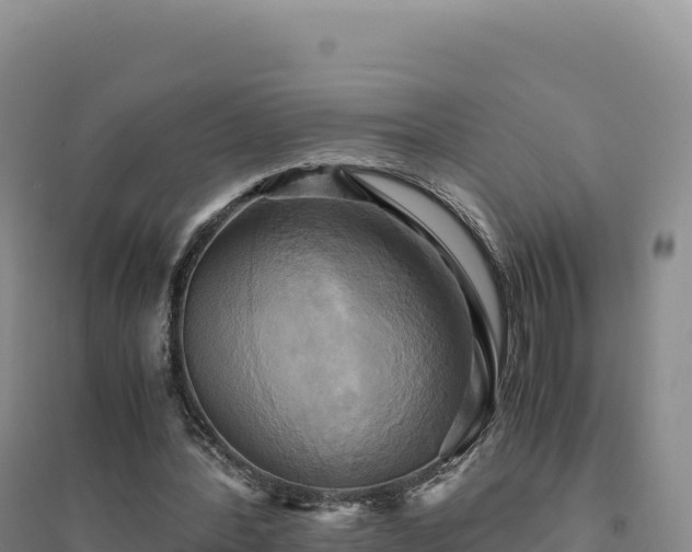 X0000094370388200711091543