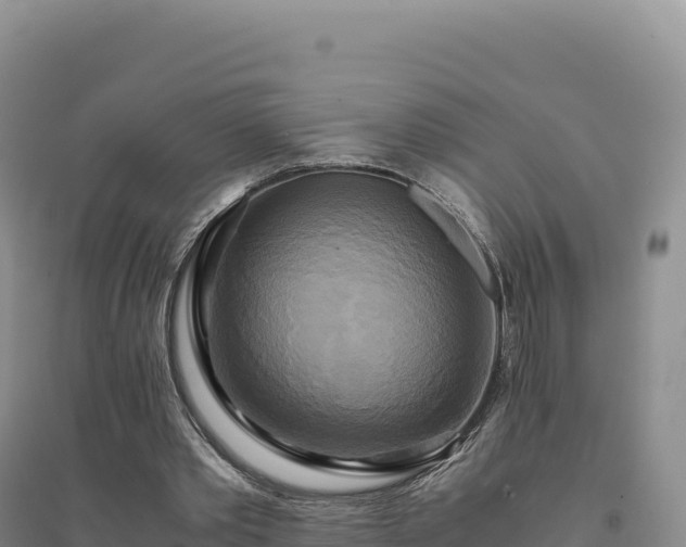 X0000094370389200711091543