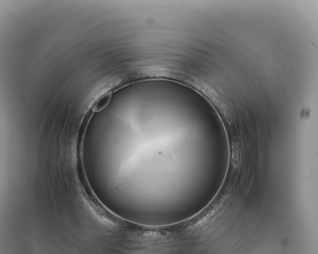 X0000094370390200711091543
