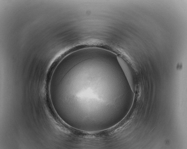 X0000094370392200711091543