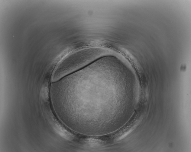 X0000094370393200711091543