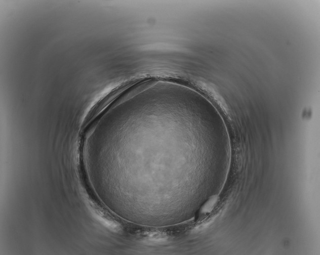 X0000094370395200711091543