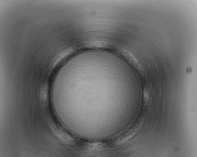 X0000094370396200711091543