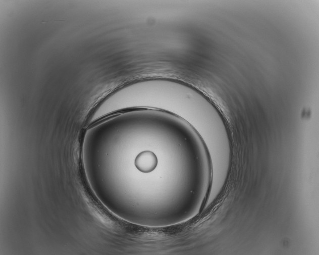 X0000094370397200711091543