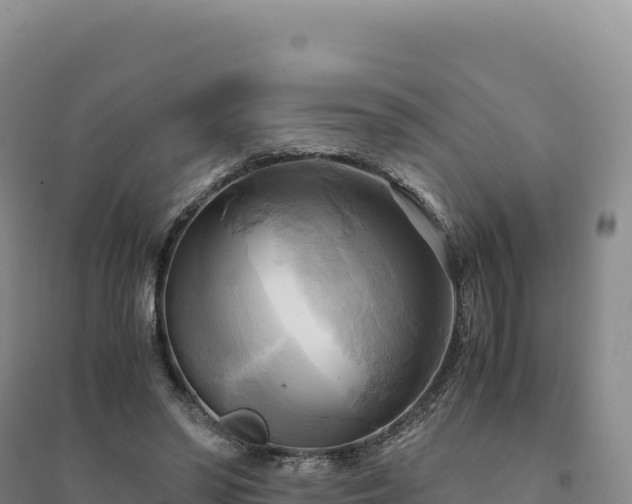 X0000094370398200711091543