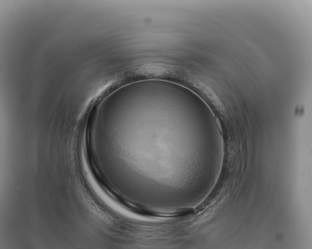 X0000094370399200711091543