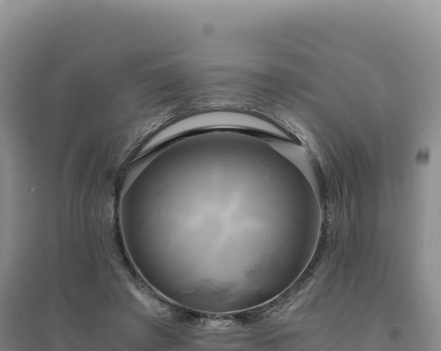 X0000094370401200711091542