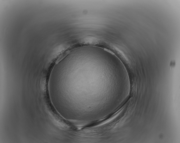 X0000094370403200711091542