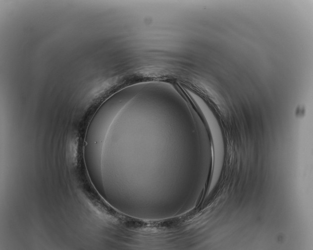 X0000094370404200711091542