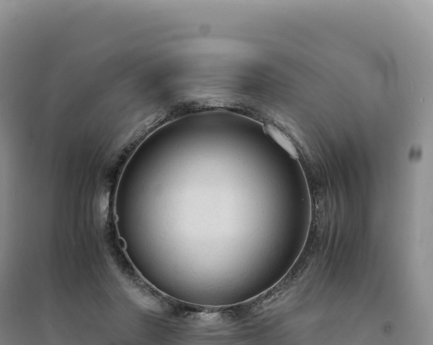 X0000094370406200711091542