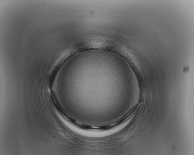 X0000094370407200711091542
