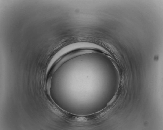 X0000094370409200711091542