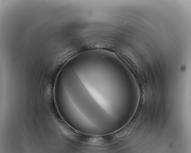 X0000094370410200711091542