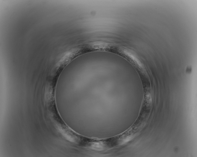 X0000094370411200711091542