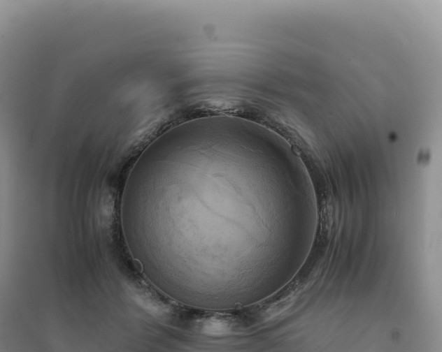 X0000094370412200711091542