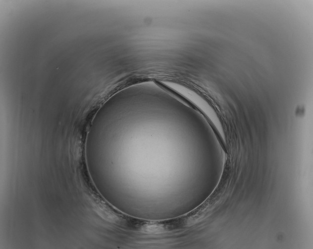 X0000094370413200711091542