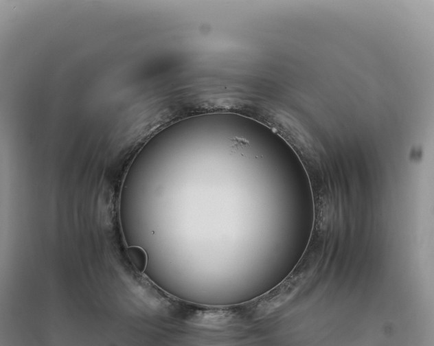 X0000094370414200711091542