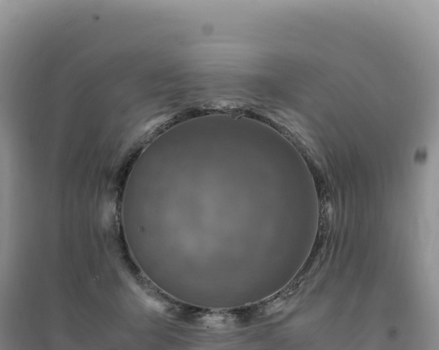 X0000094370415200711091542
