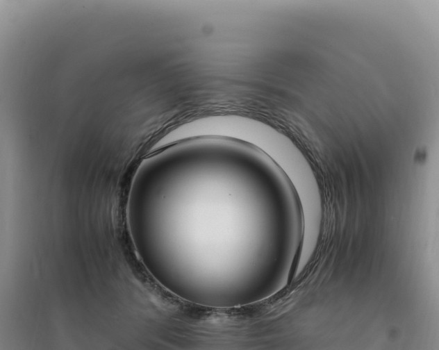 X0000094370416200711091542
