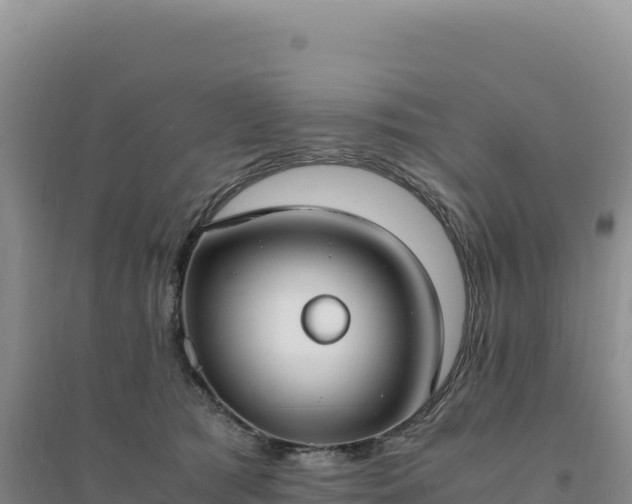 X0000094370417200711091542