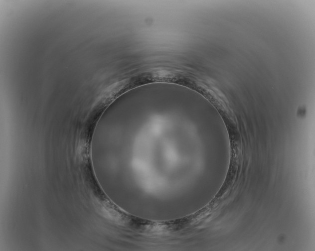 X0000094370419200711091542