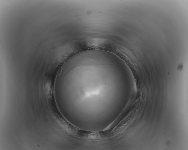 X0000094370420200711091542