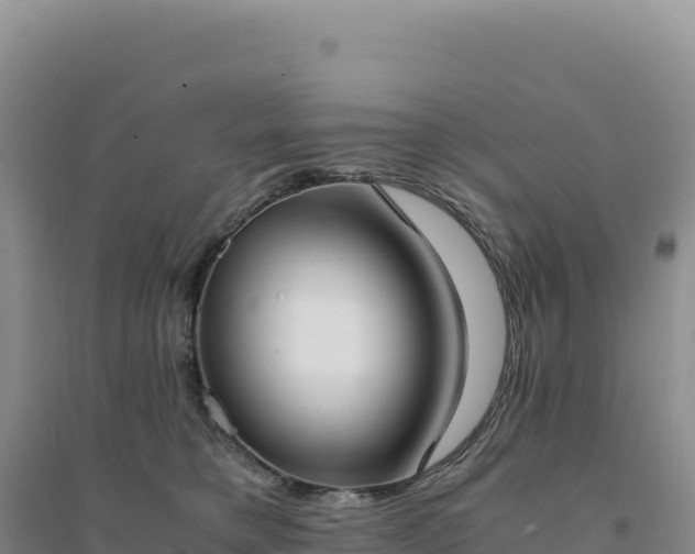 X0000094370421200711091542