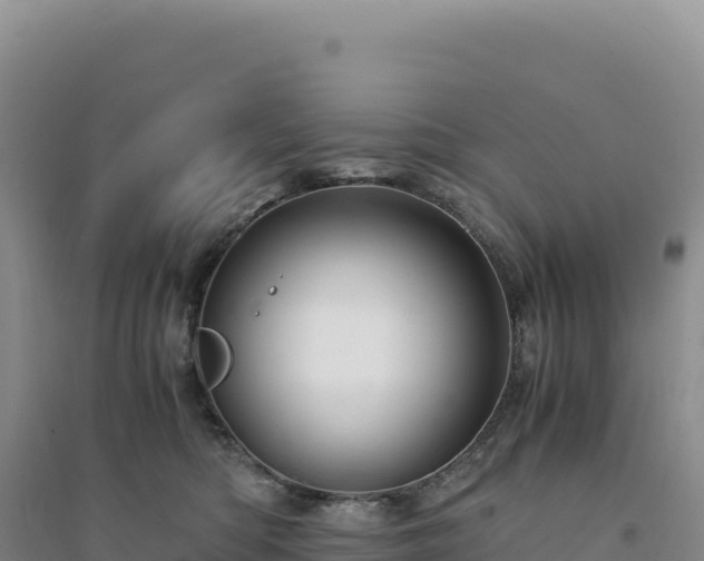 X0000094370422200711091542