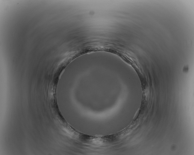X0000094370423200711091542
