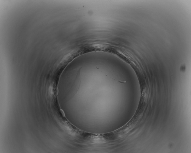 X0000094370424200711091542