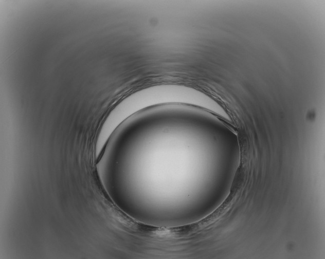 X0000094370425200711091542