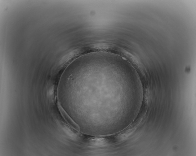 X0000094370428200711091542