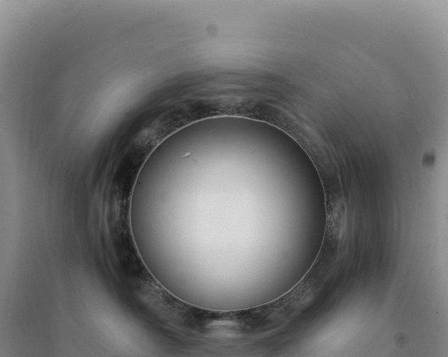 X0000094370430200711091542