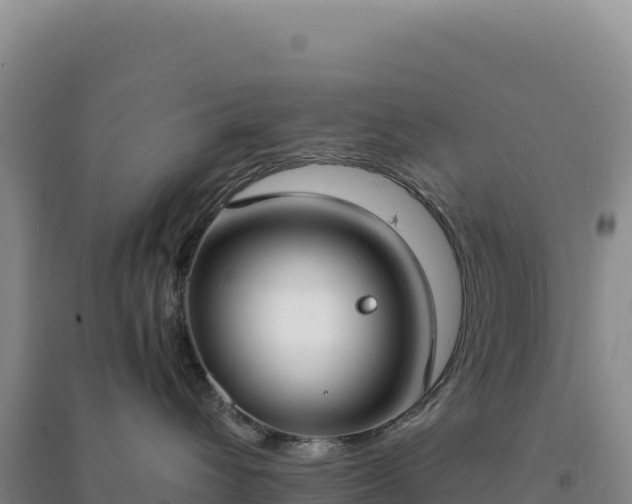 X0000094370432200711091542