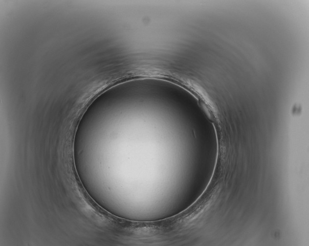 X0000094370433200711091541