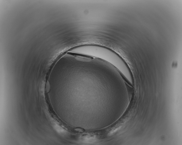 X0000094370434200711091541