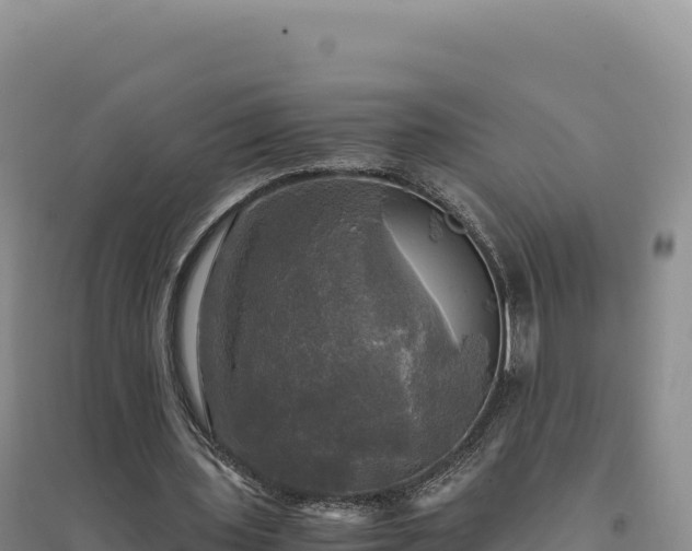 X0000094370435200711091541