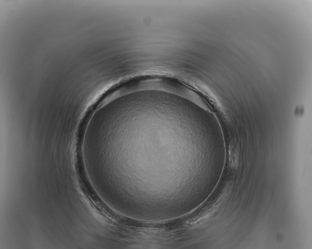 X0000094370436200711091541