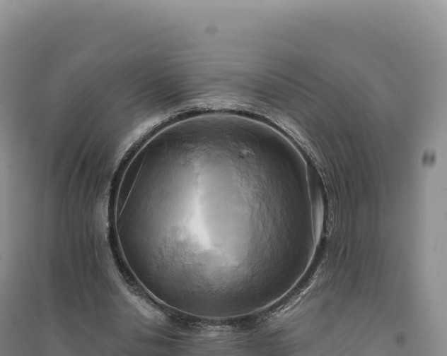 X0000094370438200711091541
