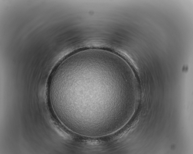 X0000094370439200711091541