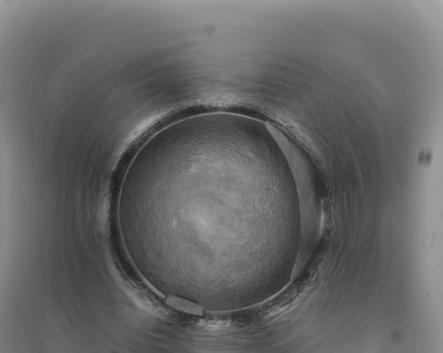 X0000094370440200711091541
