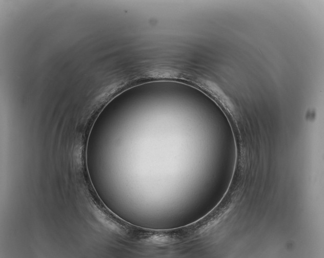 X0000094370441200711091542