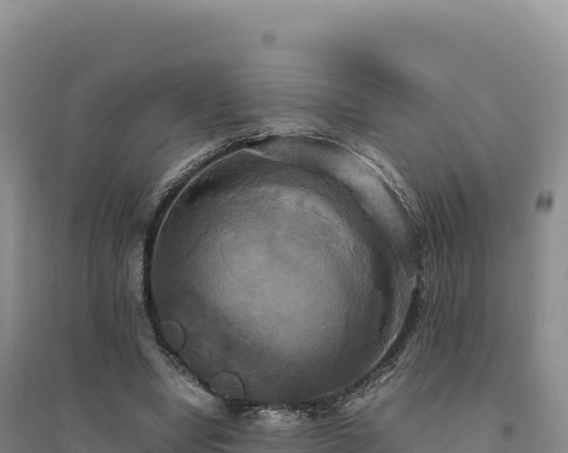 X0000094370442200711091542
