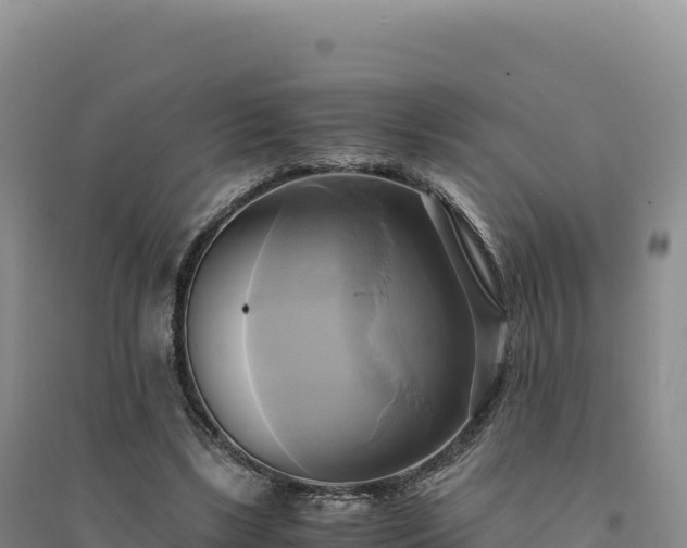 X0000094370443200711091542