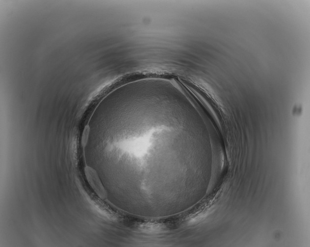 X0000094370444200711091542