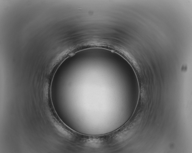X0000094370445200711091542