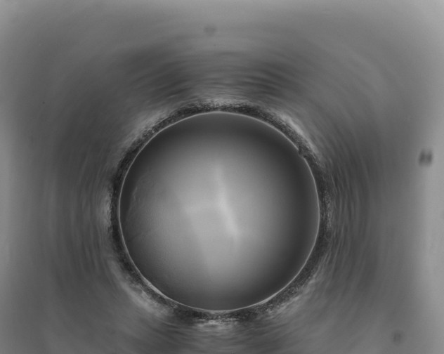 X0000094370447200711091542