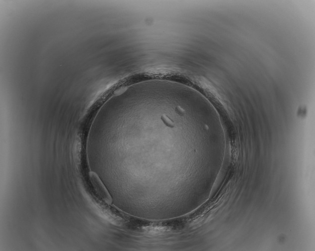 X0000094370448200711091542
