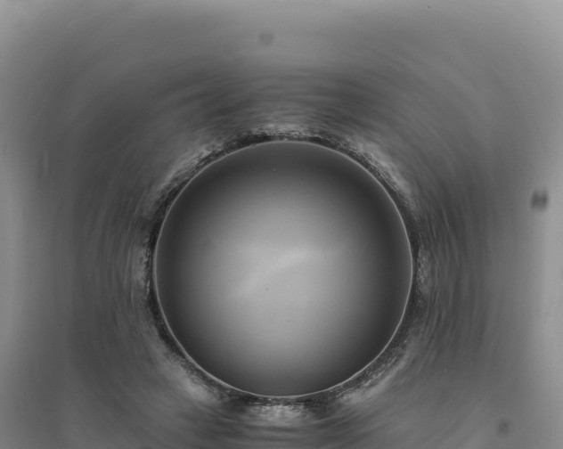 X0000094370449200711091542
